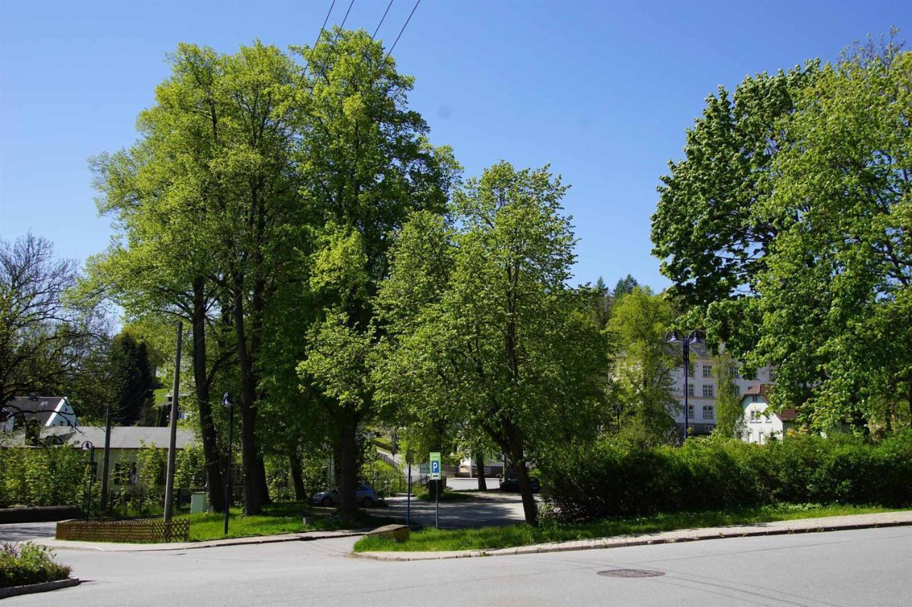 Ferienwohnung Kermaerchen Gelenau Экстерьер фото